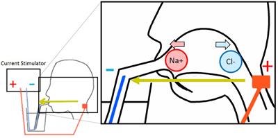 Galvanic Tongue Stimulation Inhibits Five Basic Tastes Induced by Aqueous Electrolyte Solutions